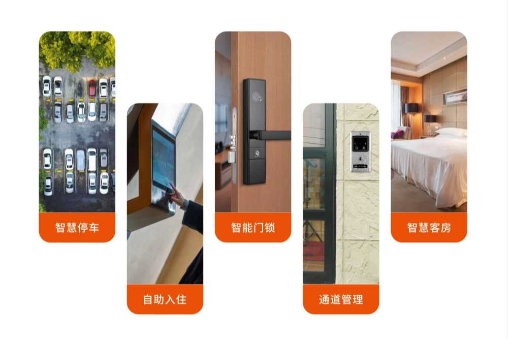 图片四_副本.jpg